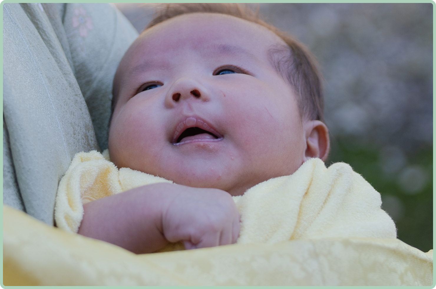 あおきレンタル衣裳で家族全員が和装レンタル